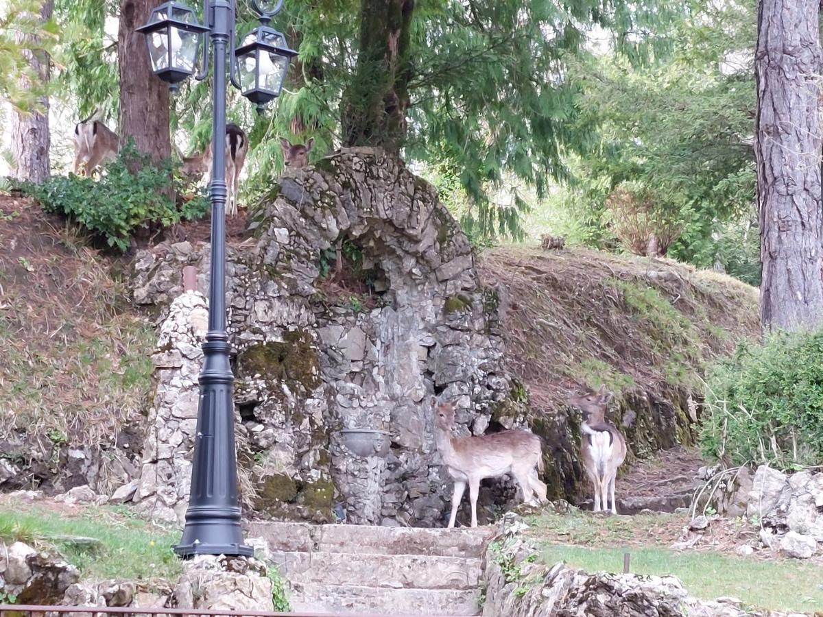 Villa Ghiron Torriglia Εξωτερικό φωτογραφία
