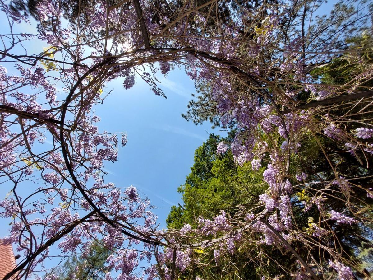 Villa Ghiron Torriglia Εξωτερικό φωτογραφία